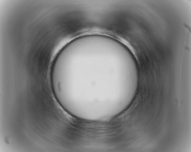 X0000095951464200801110905