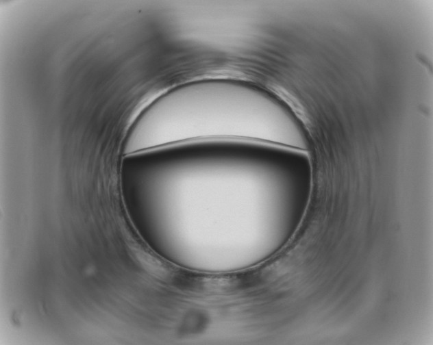 X0000095951465200801110905