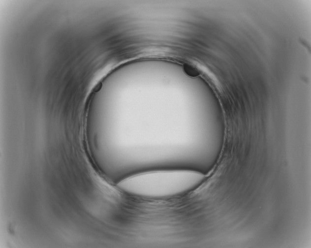 X0000095951467200801110905