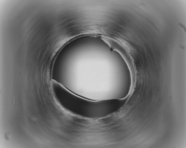 X0000095951468200801110905