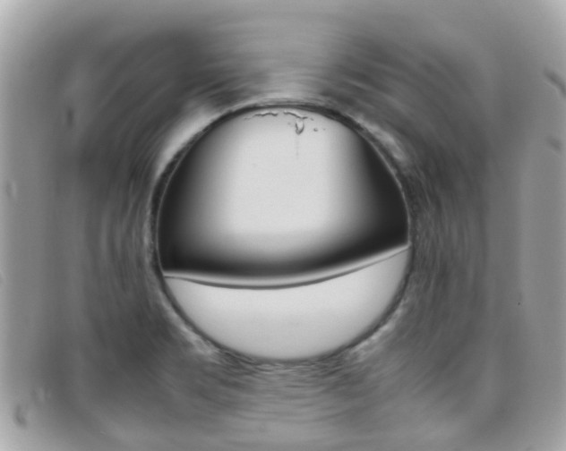 X0000095951469200801110905