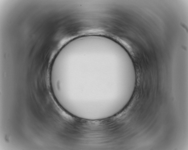 X0000095951470200801110905