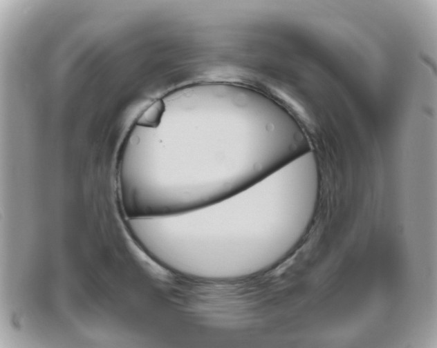 X0000095951471200801110905