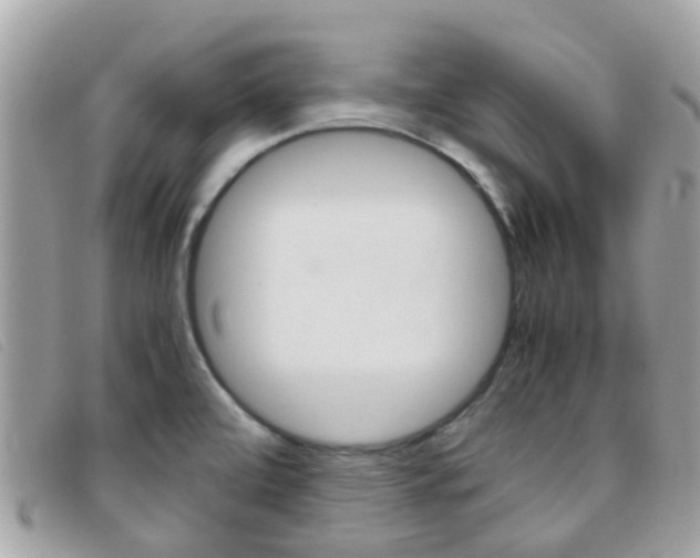 X0000095951472200801110905