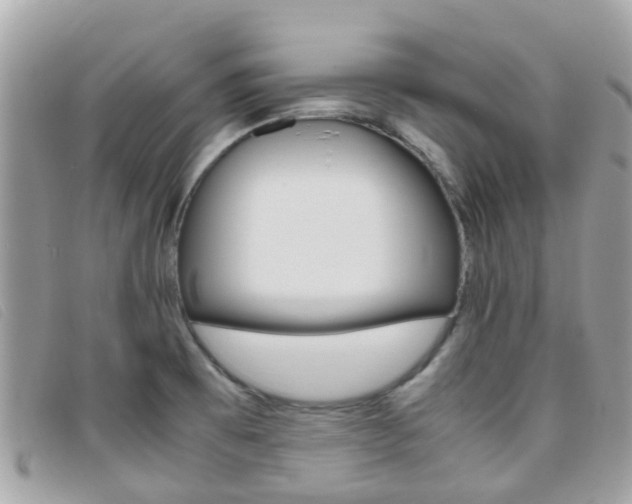 X0000095951473200801110905