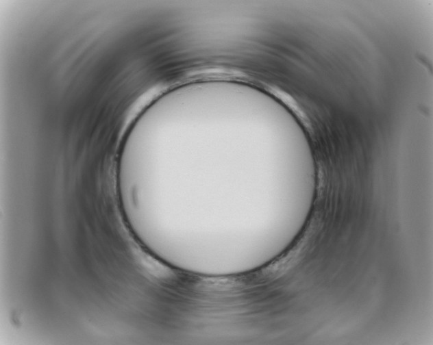 X0000095951474200801110905