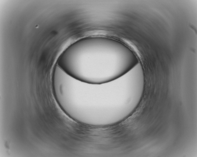 X0000095951475200801110905