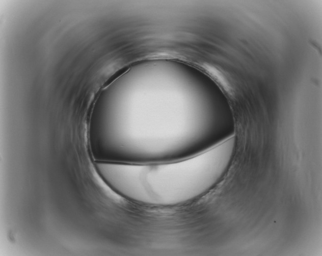 X0000095951476200801110905