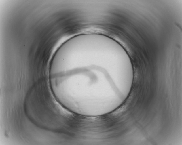 X0000095951478200801110905