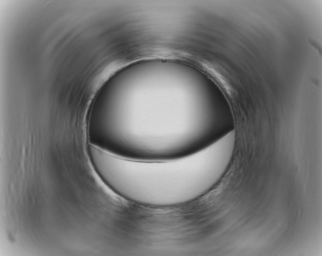 X0000095951479200801110905