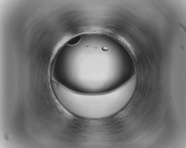 X0000095951480200801110905