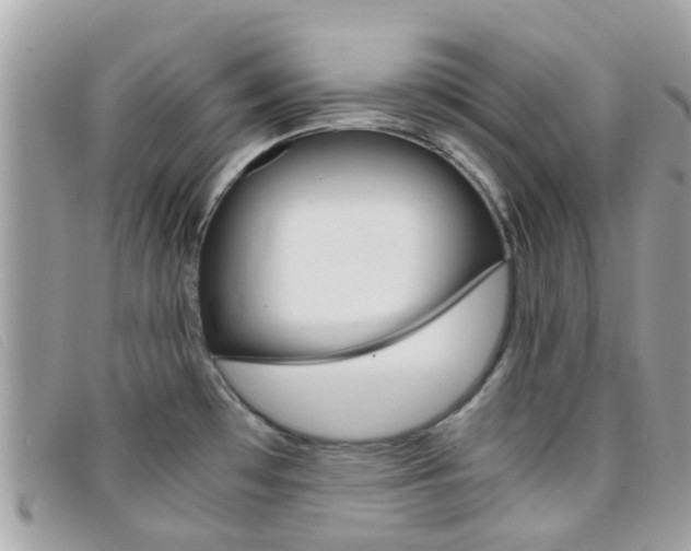 X0000095951481200801110905