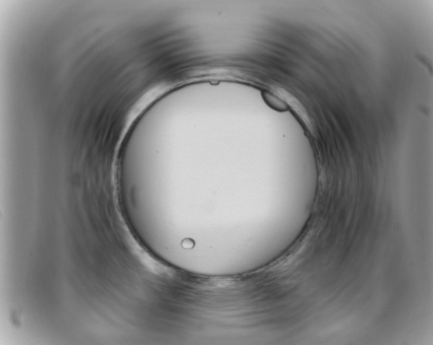 X0000095951482200801110905