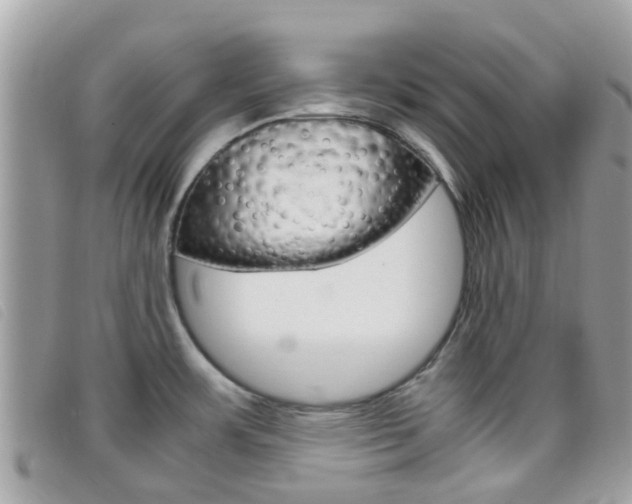 X0000095951483200801110905