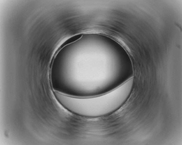 X0000095951484200801110905