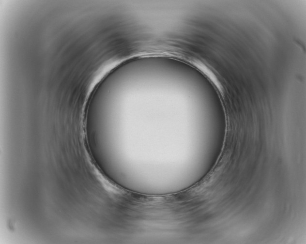 X0000095951485200801110905