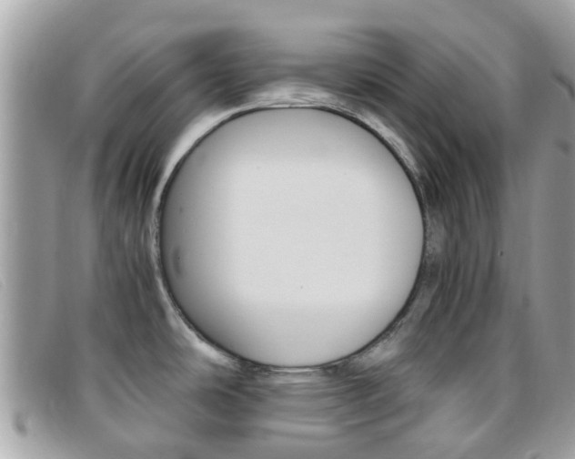 X0000095951486200801110905