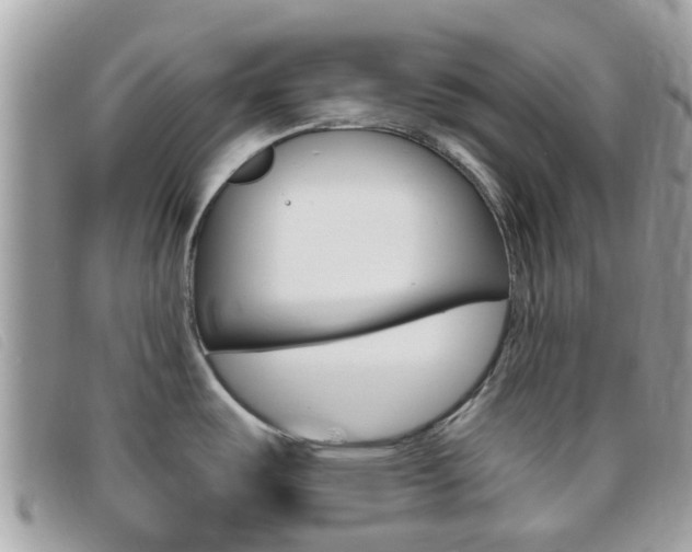 X0000095951487200801110905