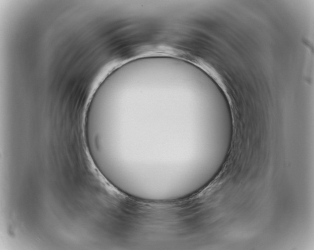 X0000095951488200801110905