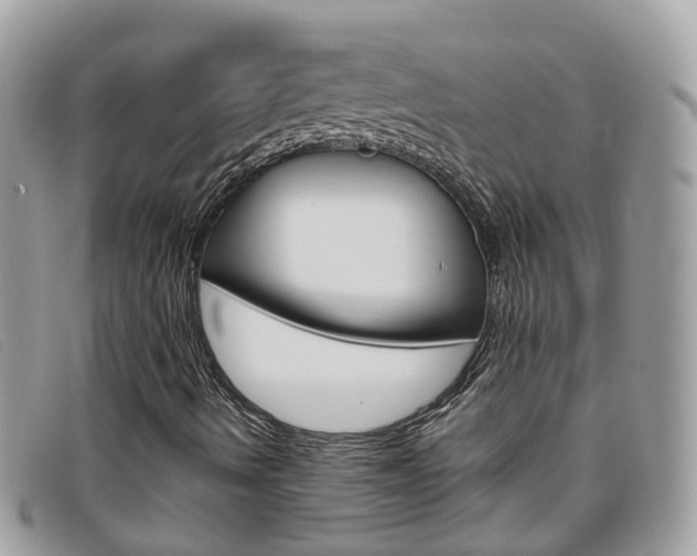 X0000095951490200801110904