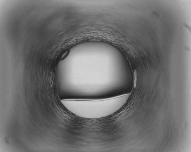 X0000095951491200801110904