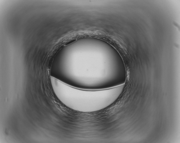 X0000095951492200801110904