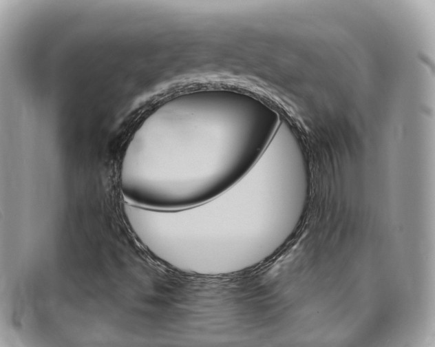X0000095951494200801110904
