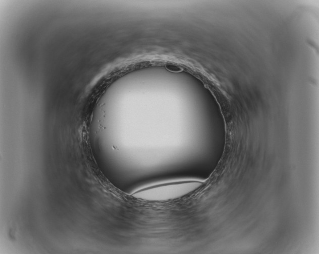 X0000095951495200801110904