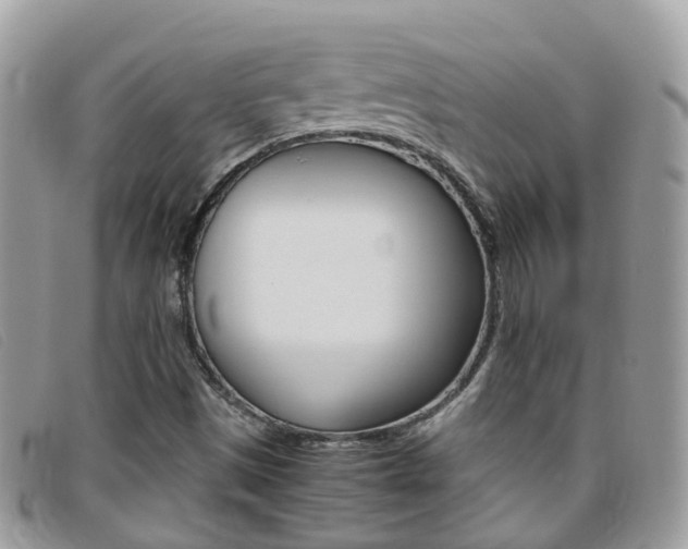 X0000095951497200801110904