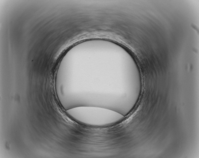 X0000095951498200801110904