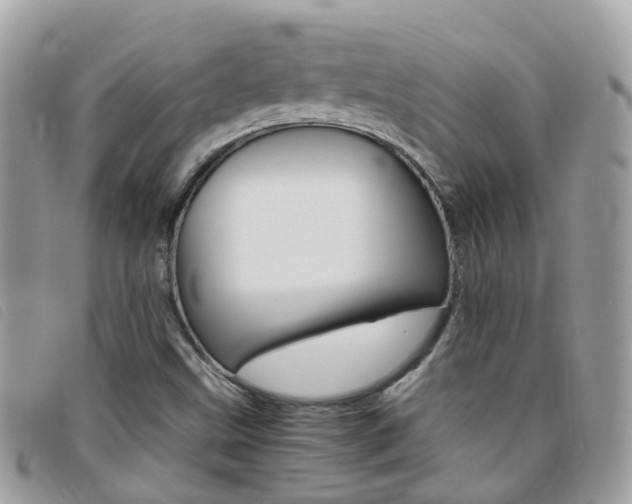 X0000095951499200801110904
