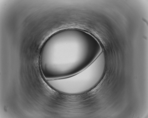 X0000095951500200801110904
