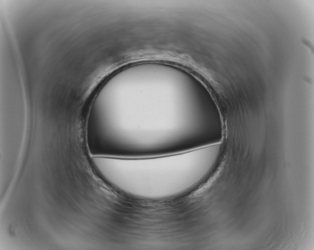 X0000095951501200801110904