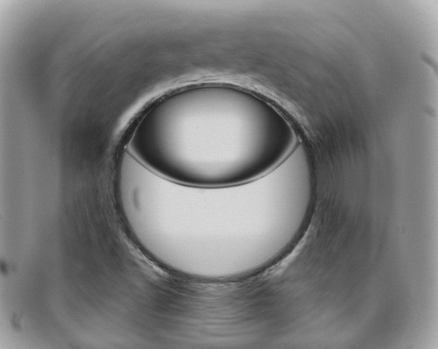 X0000095951502200801110904