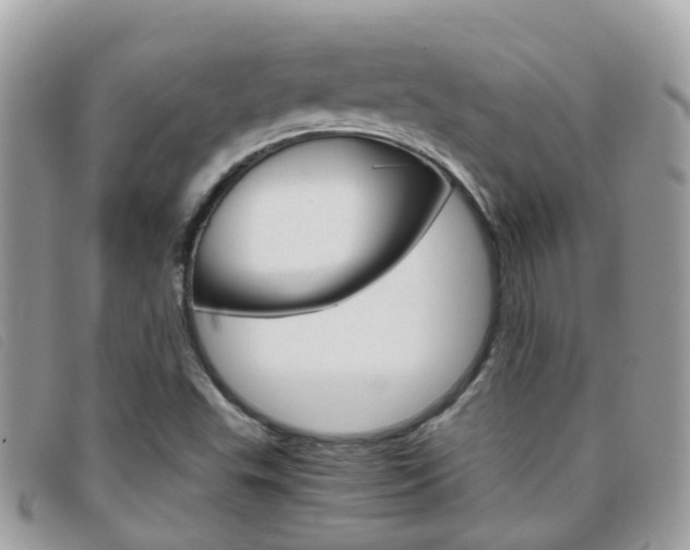 X0000095951503200801110905