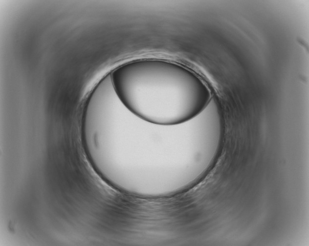 X0000095951504200801110905