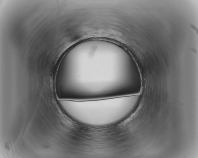 X0000095951505200801110905