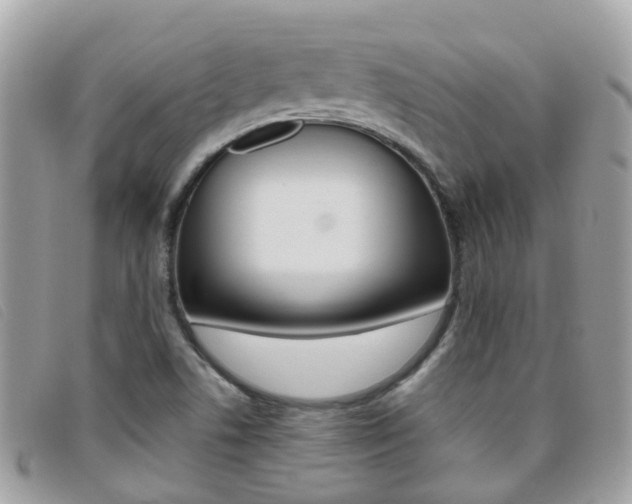 X0000095951506200801110905