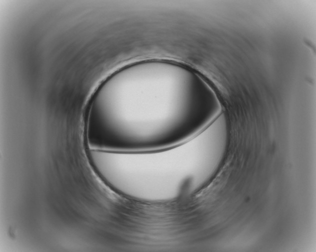 X0000095951508200801110905