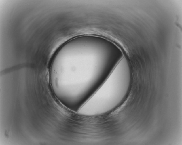 X0000095951509200801110905