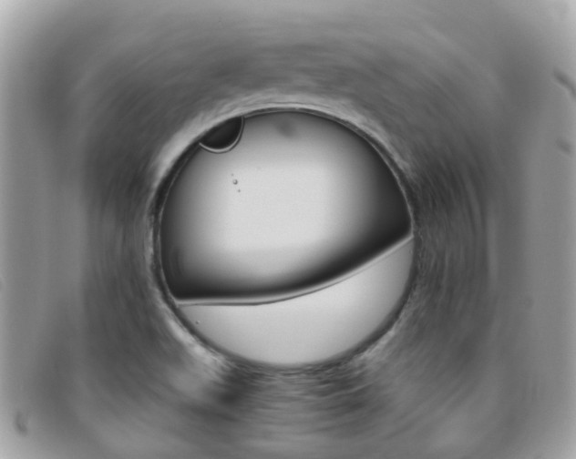 X0000095951511200801110905