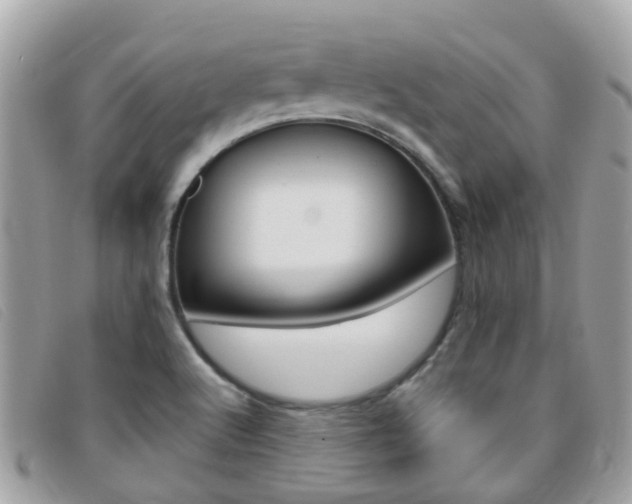 X0000095951512200801110905