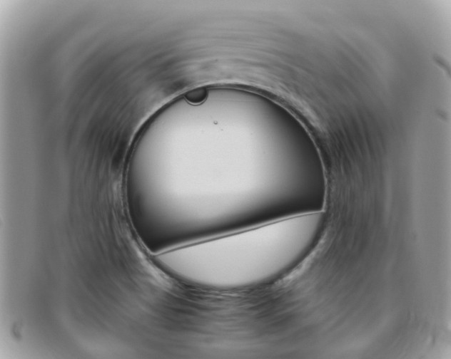 X0000095951513200801110905