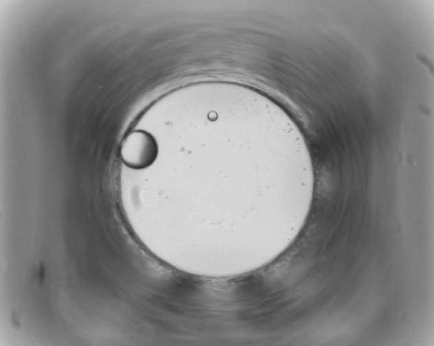 X0000095951514200801110905
