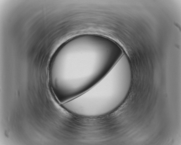 X0000095951515200801110905