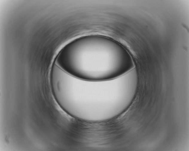 X0000095951516200801110905