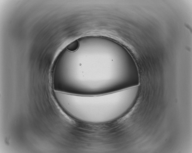 X0000095951517200801110905