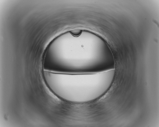 X0000095951518200801110905