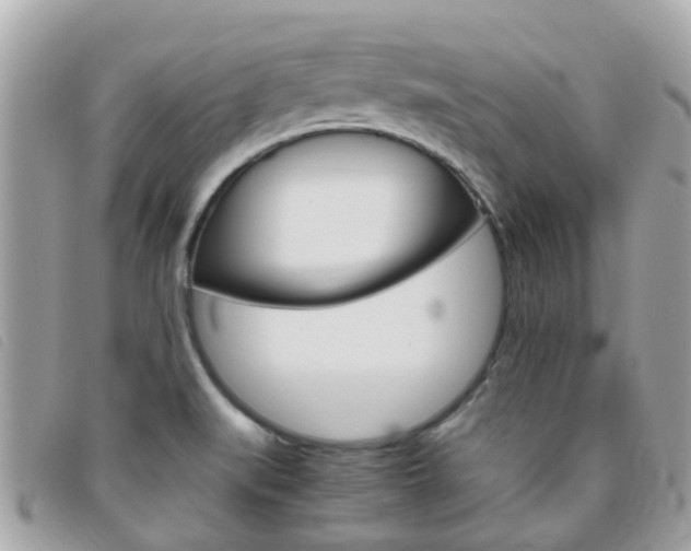 X0000095951519200801110905