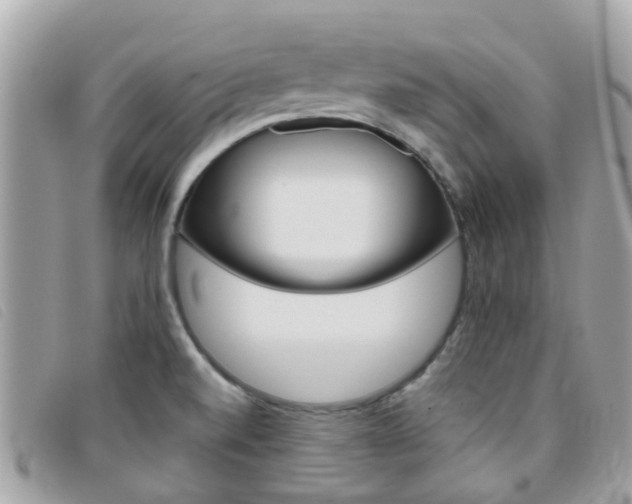 X0000095951520200801110905